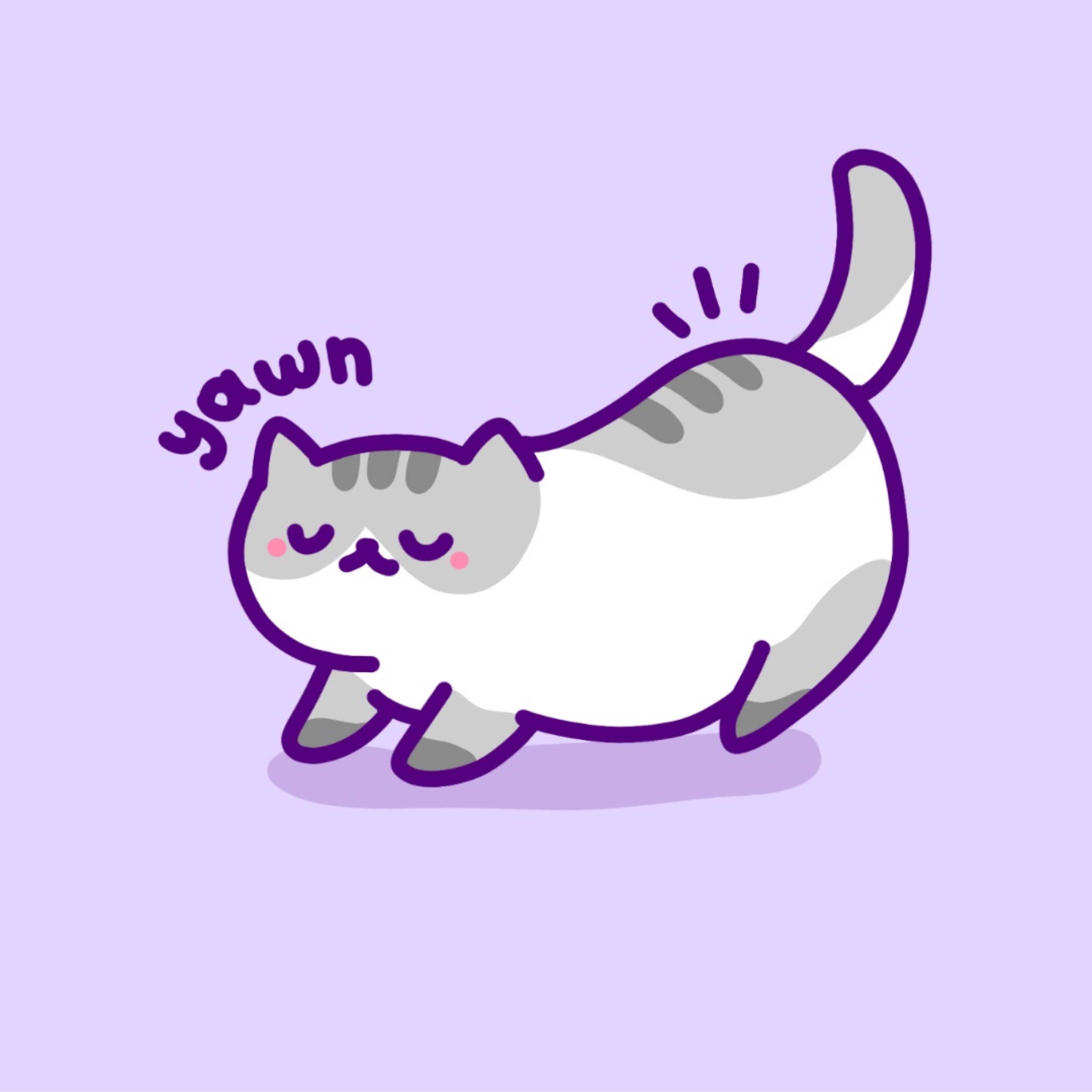 Chubby grey and white cat yawning on a lavender background